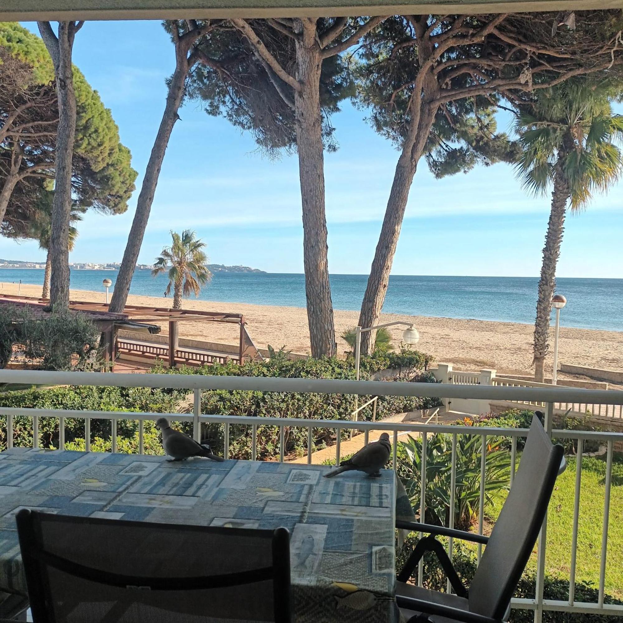 Apartment Primera Linea De Mar En